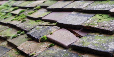 Barcombe roof repair costs